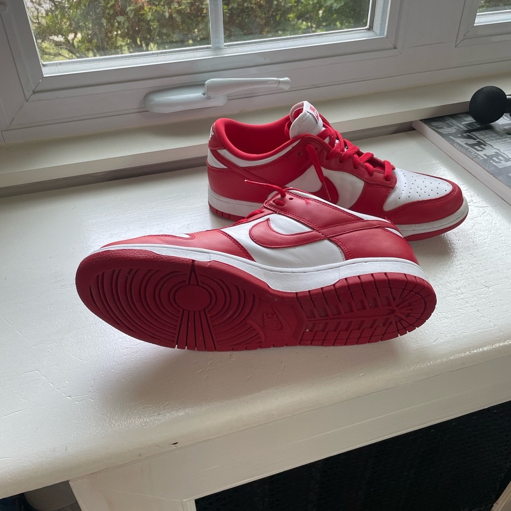 Men’s nike dunks
